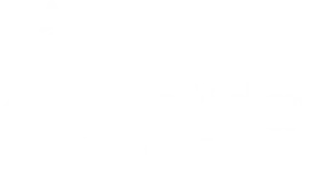 Kind Holiday Lights, a Kind Home brand